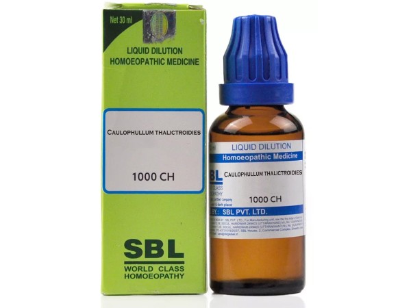 Caulophullum Thalictroidies